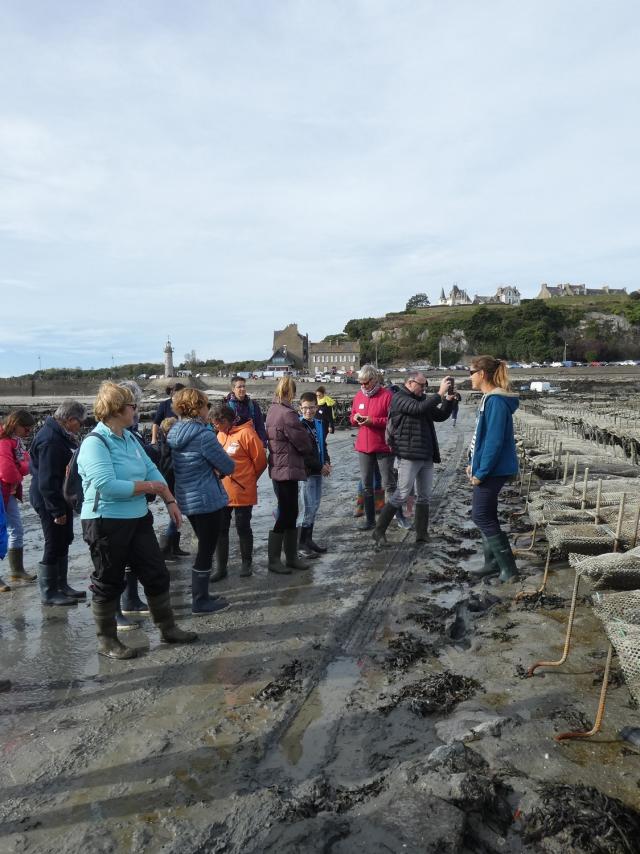 Le Groupe Dans Les Parcs