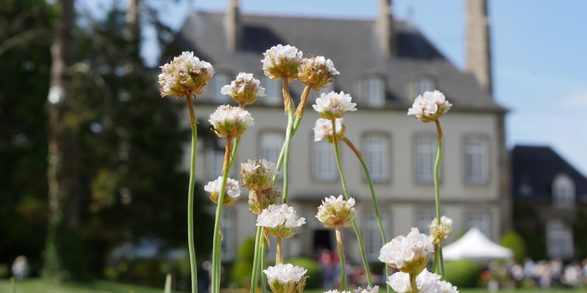 Ville Bague - Journée des plantes et gourmandises