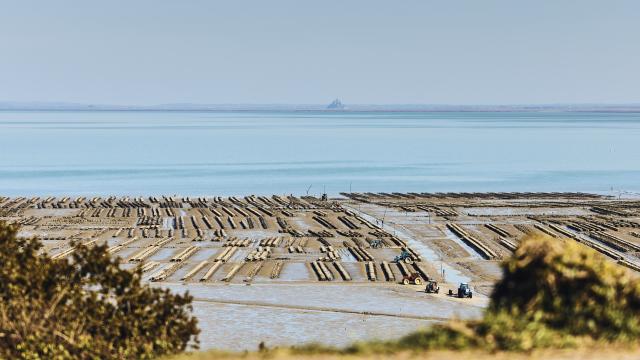 Parcs A Huitres Cancale Alexandre Lamoureux 3002
