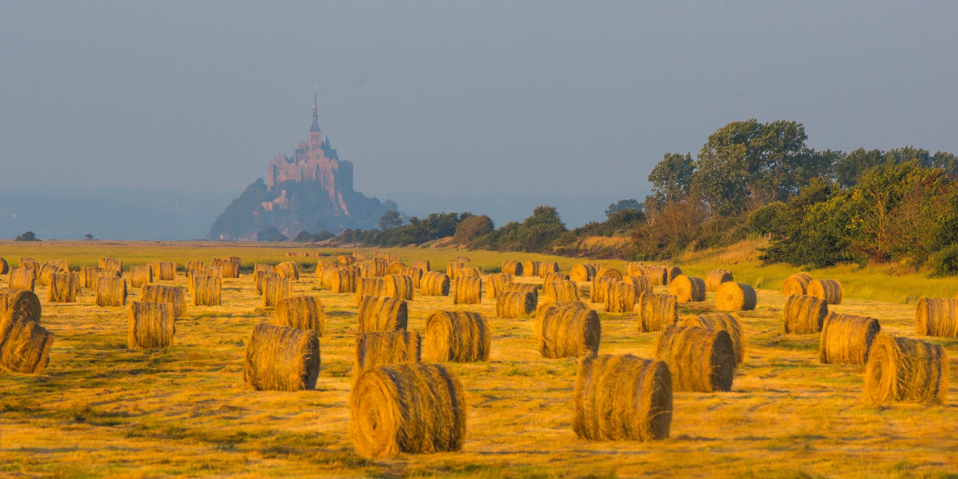 Feld Baie Du Mont Saint Michel Simon Bourcier 915