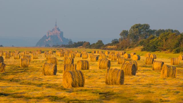 Mont Saint Michel Baai Veld Simon Bourcier 915