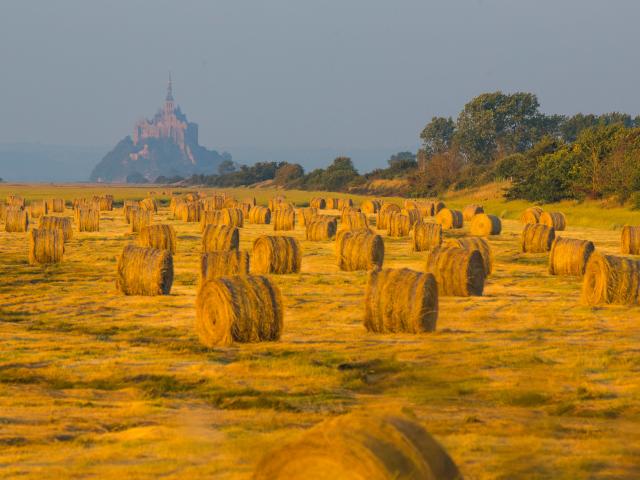 Feld Baie Du Mont Saint Michel Simon Bourcier 915