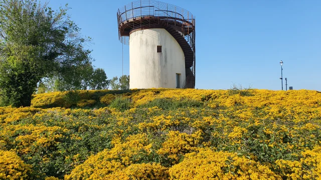 Le Belvedere Des Ondes Saint Benoit Des Ondes Smbmsm 3056