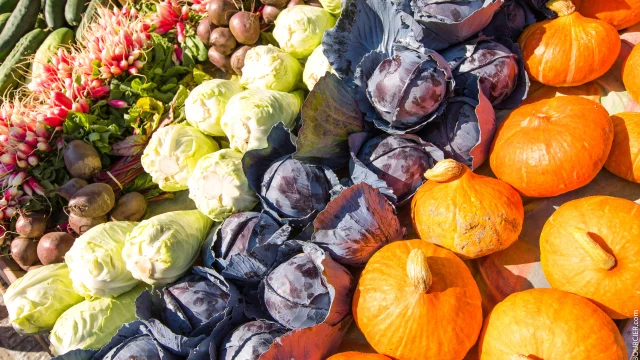 Walk Dol De Bretagne Simon Bourcier 942