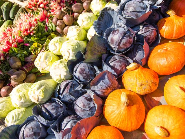 Marche Dol De Bretagne Simon Bourcier 942