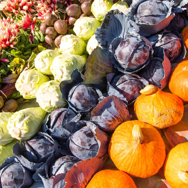 Marche Dol De Bretagne Simon Bourcier 942