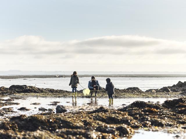 Peche A Pied Abri Des Flots Cancale Alexandre Lamoureux 2797