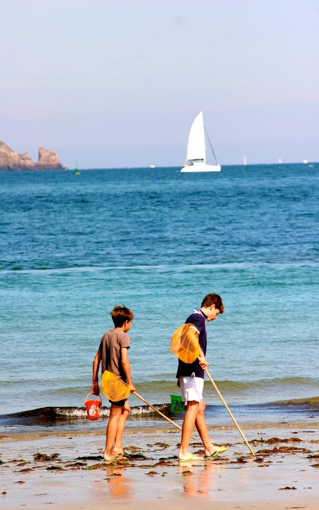 Peche A Pied Dominique Torchut 11486