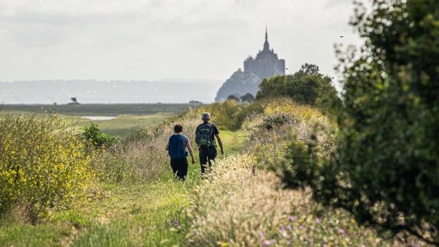 Promenade Dans Les Polders (3)