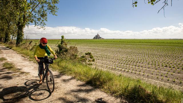 Promenade Dans Les Polders Baie Du Mont Saint Michel