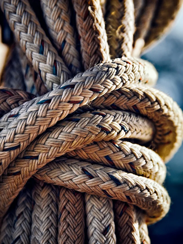 Robert Zunikoff Yz22gsqah0 Unsplash
