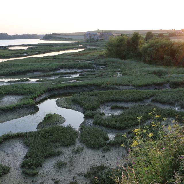 Saint Jouan Des Guerets Coucher De Soleil Sur Les Bords De Rance Smbmsm 455