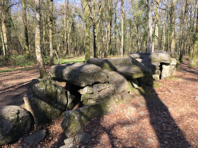 Allee_couverte_Foret_du_Mesnil_-_Le_Tronchet-SMBMSM-8291