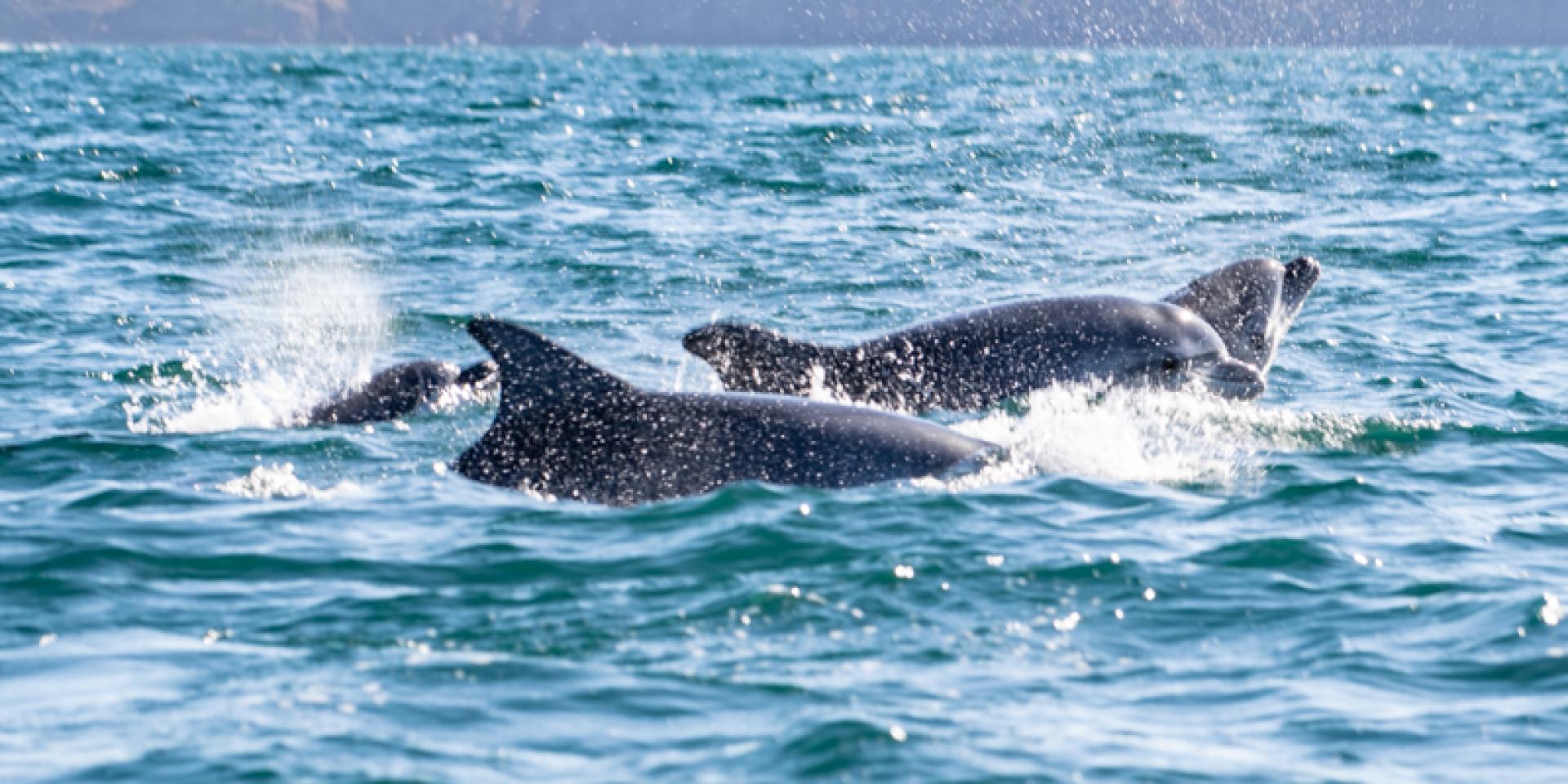 Delphine-Yann_Langevin-7671