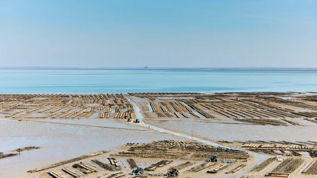 Alexandre Lamoureux - Cancale