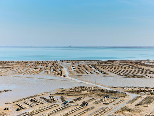 Alexandre Lamoureux - Cancale