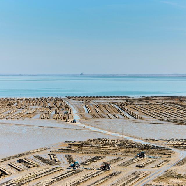 Alexandre Lamoureux - Cancale