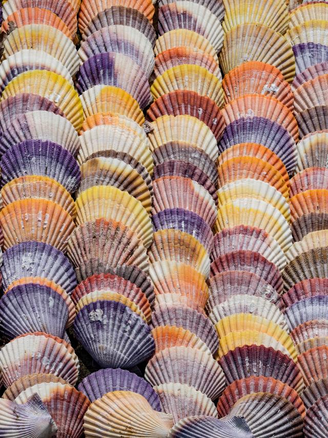 Hiroyoshi Urushima Ouzzopm4hvu Unsplash