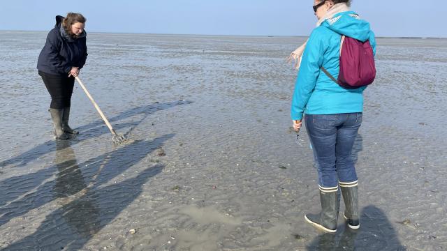 Eductour Sortie Pêche à Pied Maison De La Baie