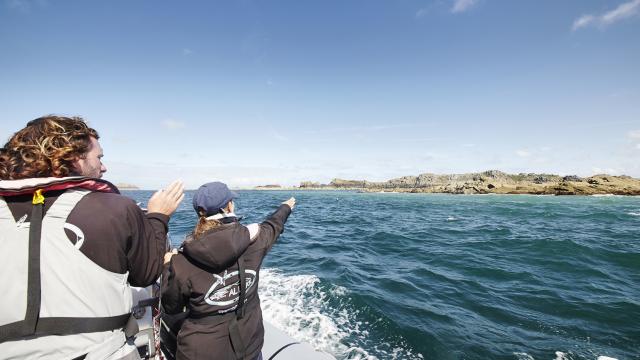 aLamoureux - Spaziergang am Meer Cancale (1)