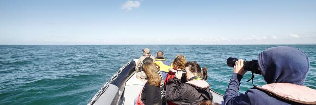 aLamoureux - Wandeling in de zee Cancale (6)