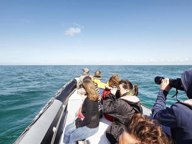 ©aLamoureux - Stroll in the sea Cancale (6)
