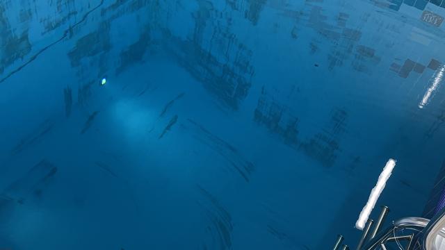 SMBMSM - Einführung in das Tauchen SM Plongée Emeraude - Saint-Malo (19)