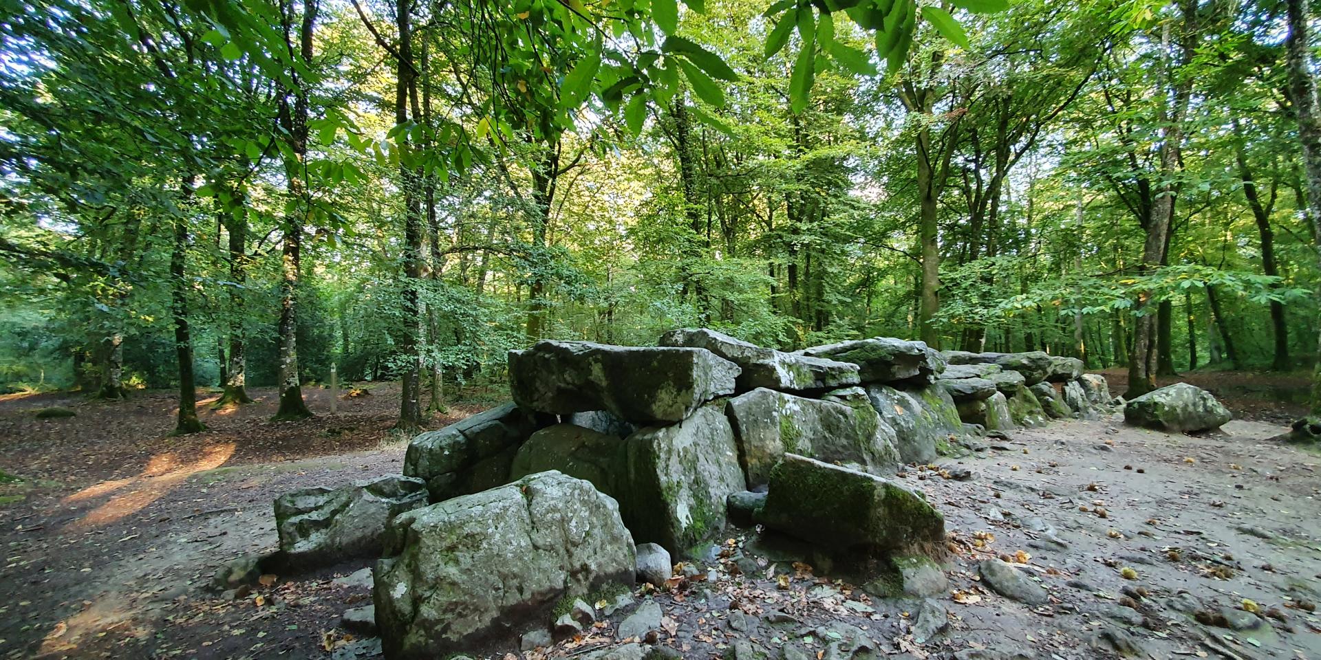©SMBMSM - Overdekte wandelroute - Bos van Tressé - Tressé