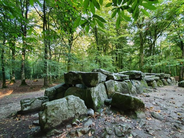 ©SMBMSM - Overdekte wandelroute - Bos van Tressé - Tressé