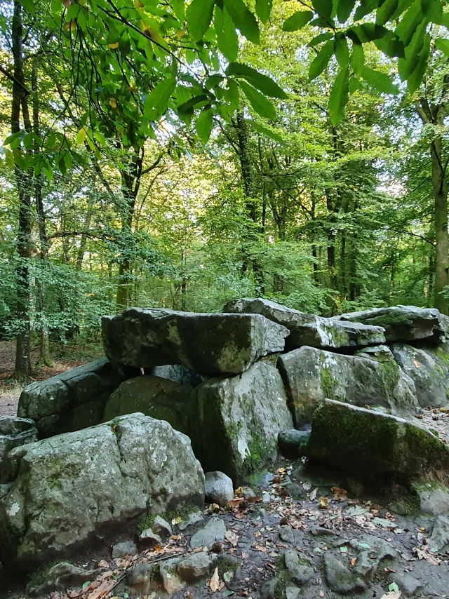 ©SMBMSM - Pasarela cubierta - Bosque de Tressé - Tressé