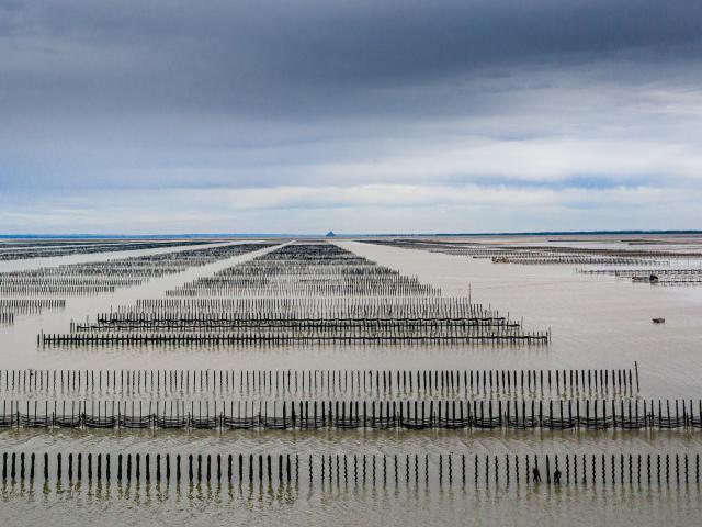 Pays de Dol , Bay of Mont-Saint-Michel