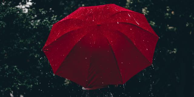 Aline De Nadai Motstck381i Unsplash