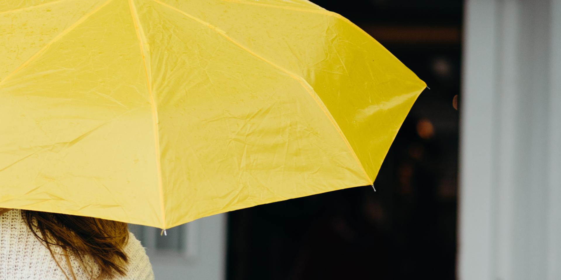 Nathan Anderson Yl9jmoxushu Unsplash