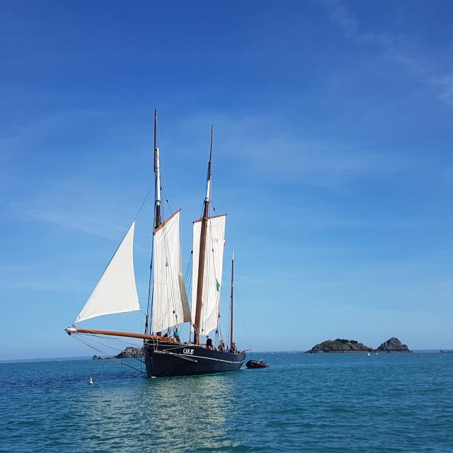 Ontdekkingsreis met Al Lark - 2017