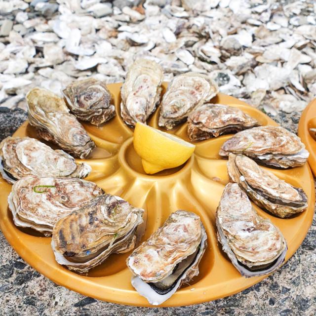 ©SMBMSM - Dégustation au Marché aux Huîtres - Port de la Houle - Cancale
