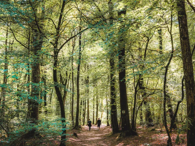 Braid Drill Le Tronchet Lezbroz 5256 1200px