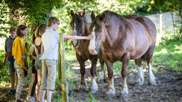 Pays de Dol , Bahía del Mont-Saint-Michel