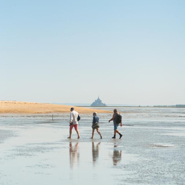 Sortie Nature Maison De La Baie Baie Du Mont Saint Michel Thibault Poriel 5086 1200px
