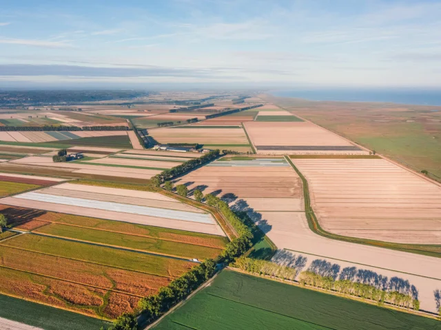 Vista Drone Polders Baie Du Mont Saint Michel Thibault Poriel 5098 1200px