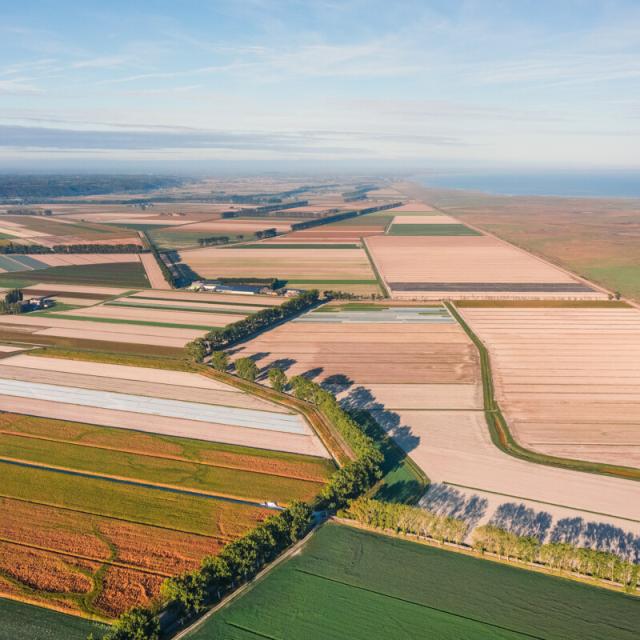 Blick Drone Polders Baie Du Mont Saint Michel Thibault Poriel 5098 1200px