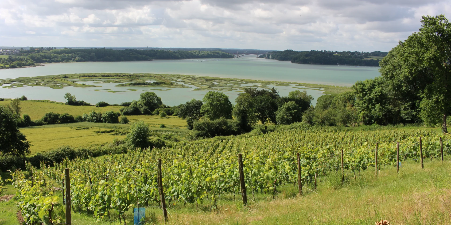 Vignes du Mont Garrot et camp Vikings