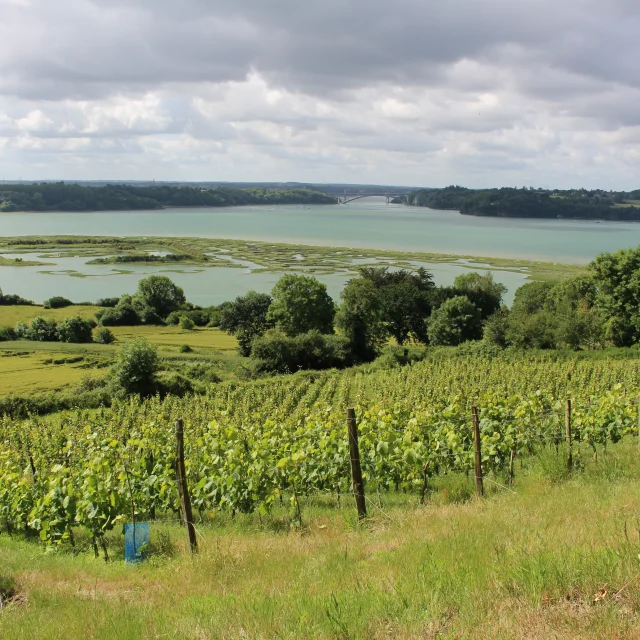 Weinberge am Mont Garrot und Wikingercamp