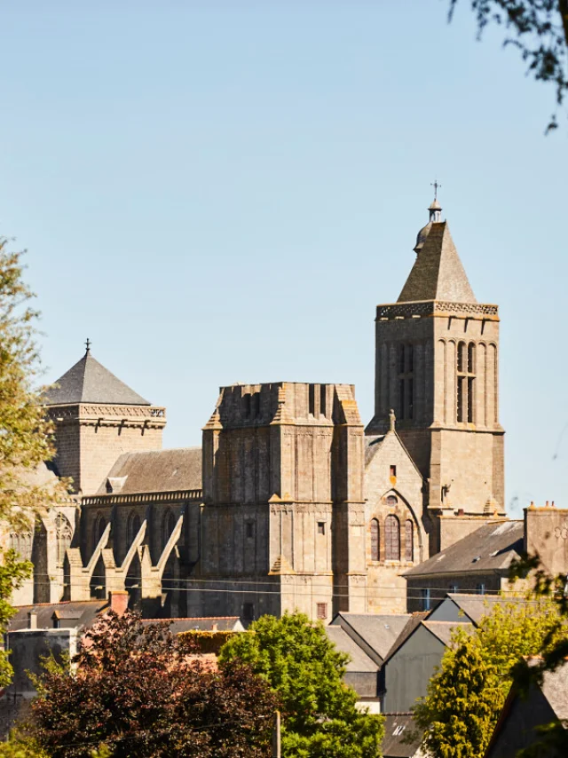 Alexandre Lamoureux - Kathedrale Saint-Samson - Dol-de-Bretagne