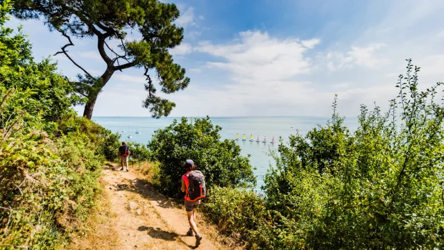 ©L'Oeil de Paco - Cancale