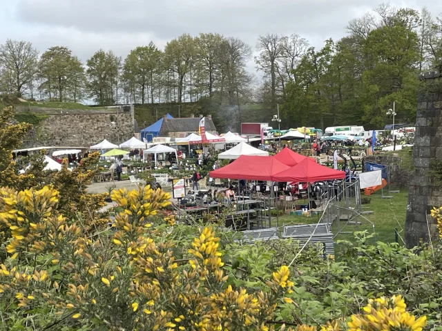 Panoramica della Maf 2024 2