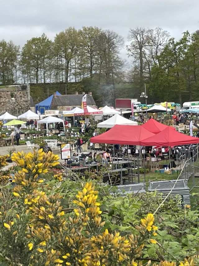 Maf 2024 overzicht 2