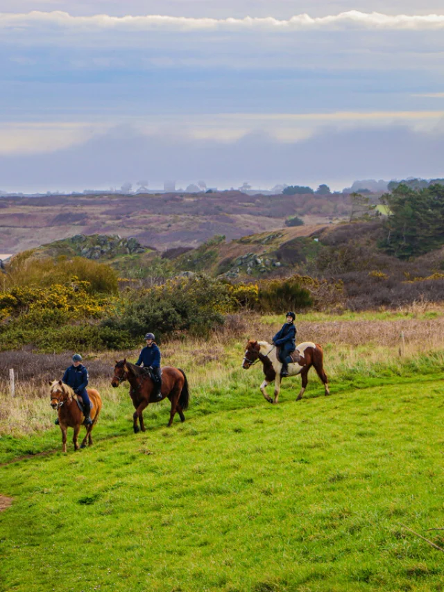 ©SMBMSM - Horseback riding - Les Douets Fleuris - Anse du Guesclin - Saint-Coulomb