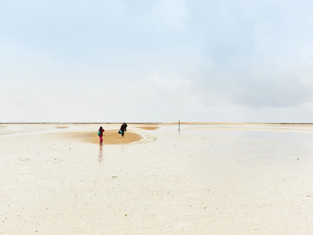Natuuruitstapje op de Hermelles Bank Cherrueix Alexandre Lamoureux 14353
