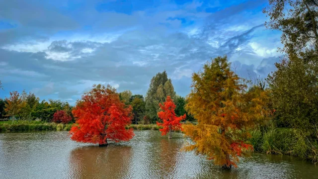 ©SMBMSM - Dol-de-Bretagne