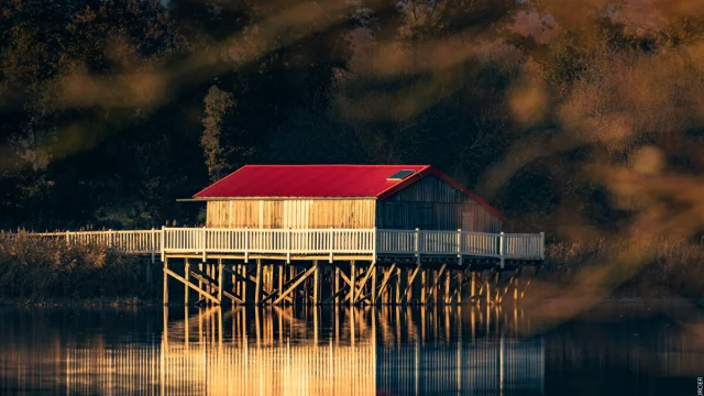 Maison sur pilotis - Cabane de l'étang de Bazouges à Hédé-Bazouges